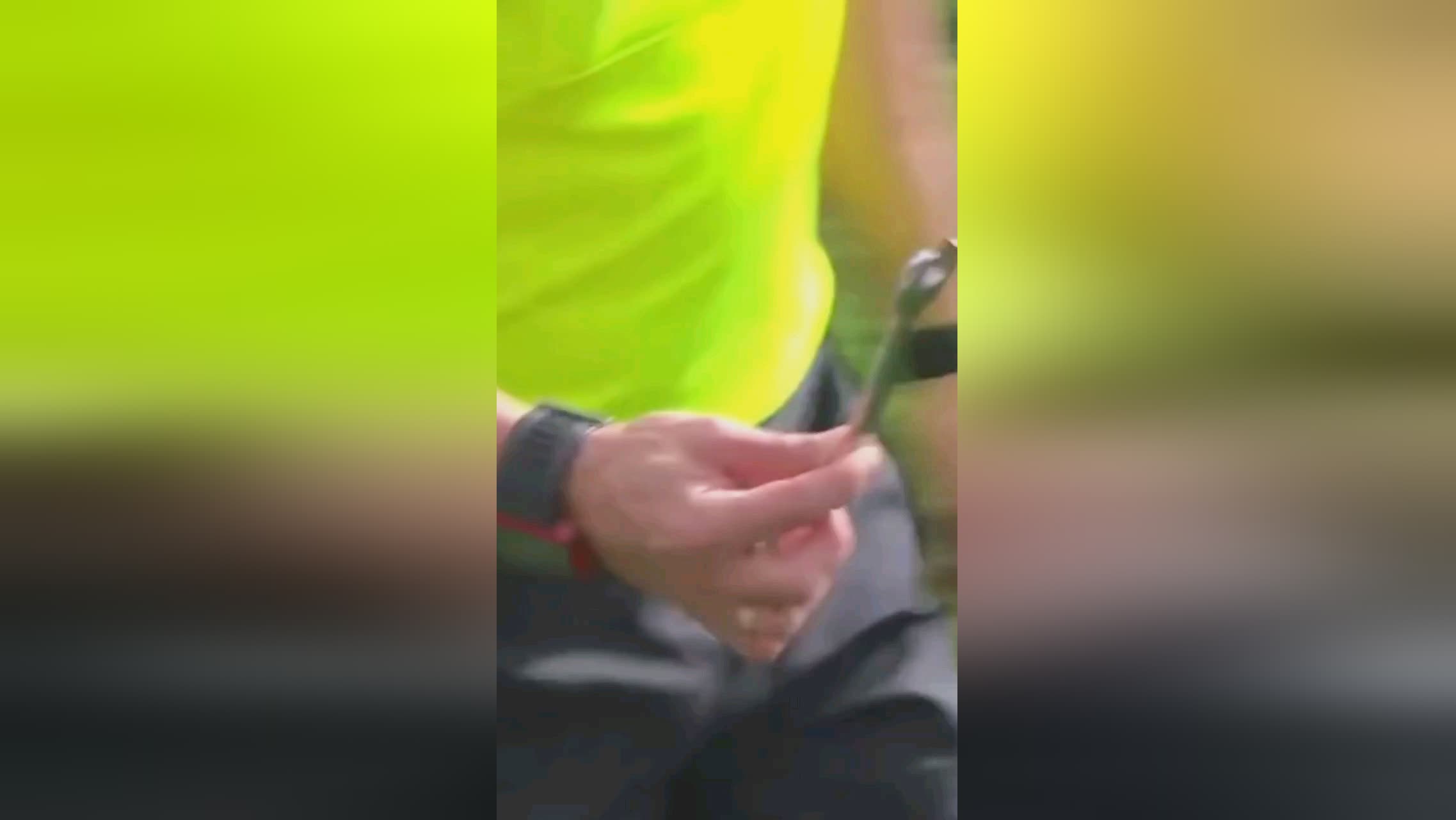 部能